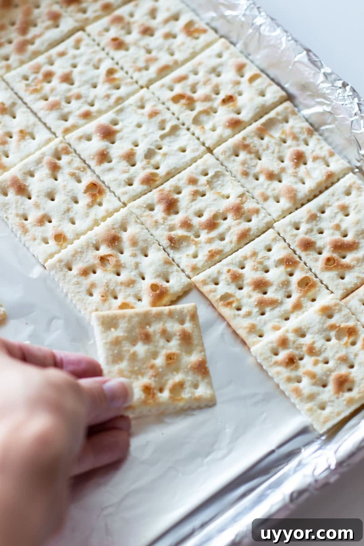 Halloween Crack Candy Recipe: Sweet & Crunchy Toffee Treat 5 Person's hand placing saltine crackers into a lined cookie sheet for making Halloween Candy Bark.