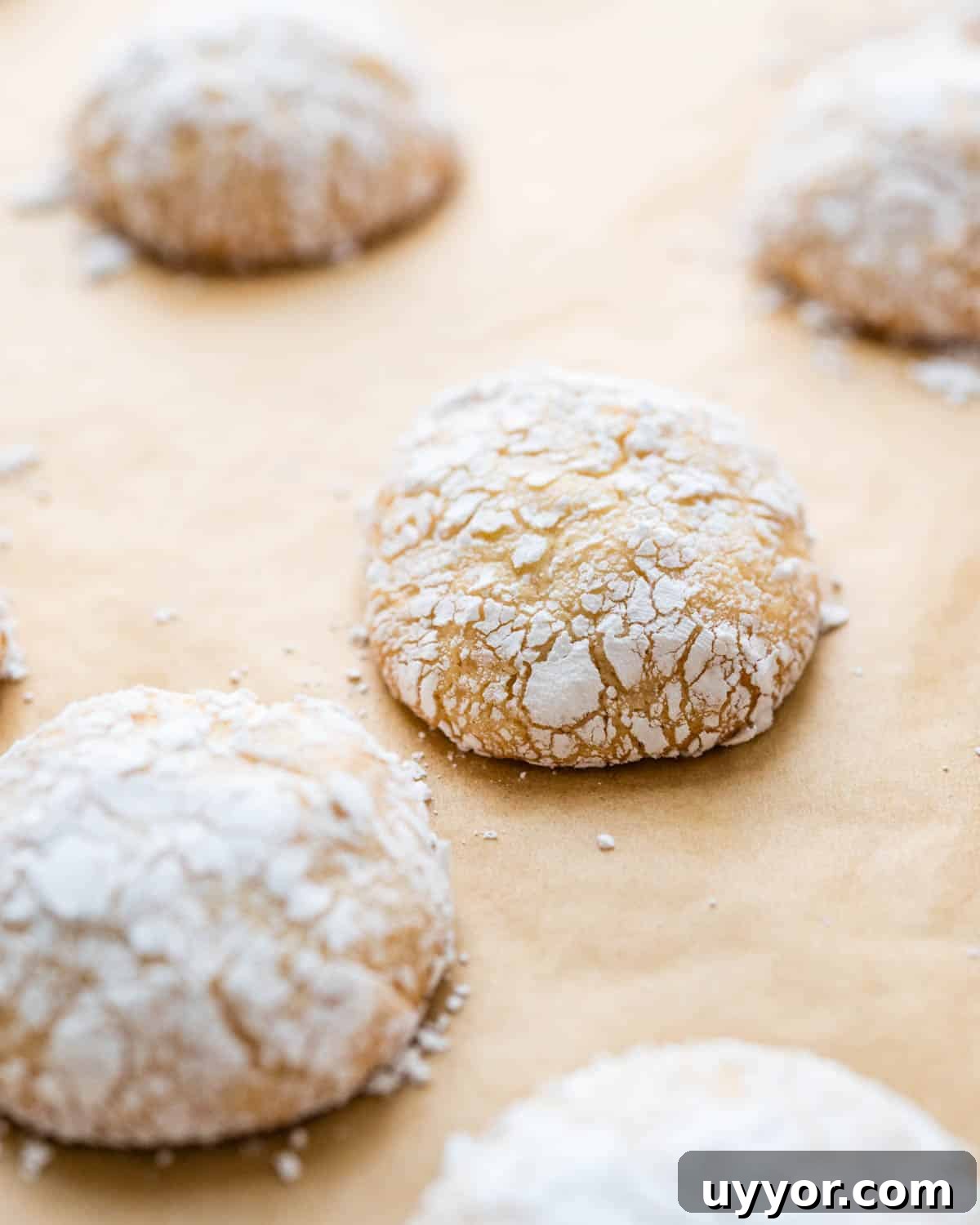 Chewy Ricciarelli: Traditional Italian Almond Cookies 8 Ricciarelli after baking.