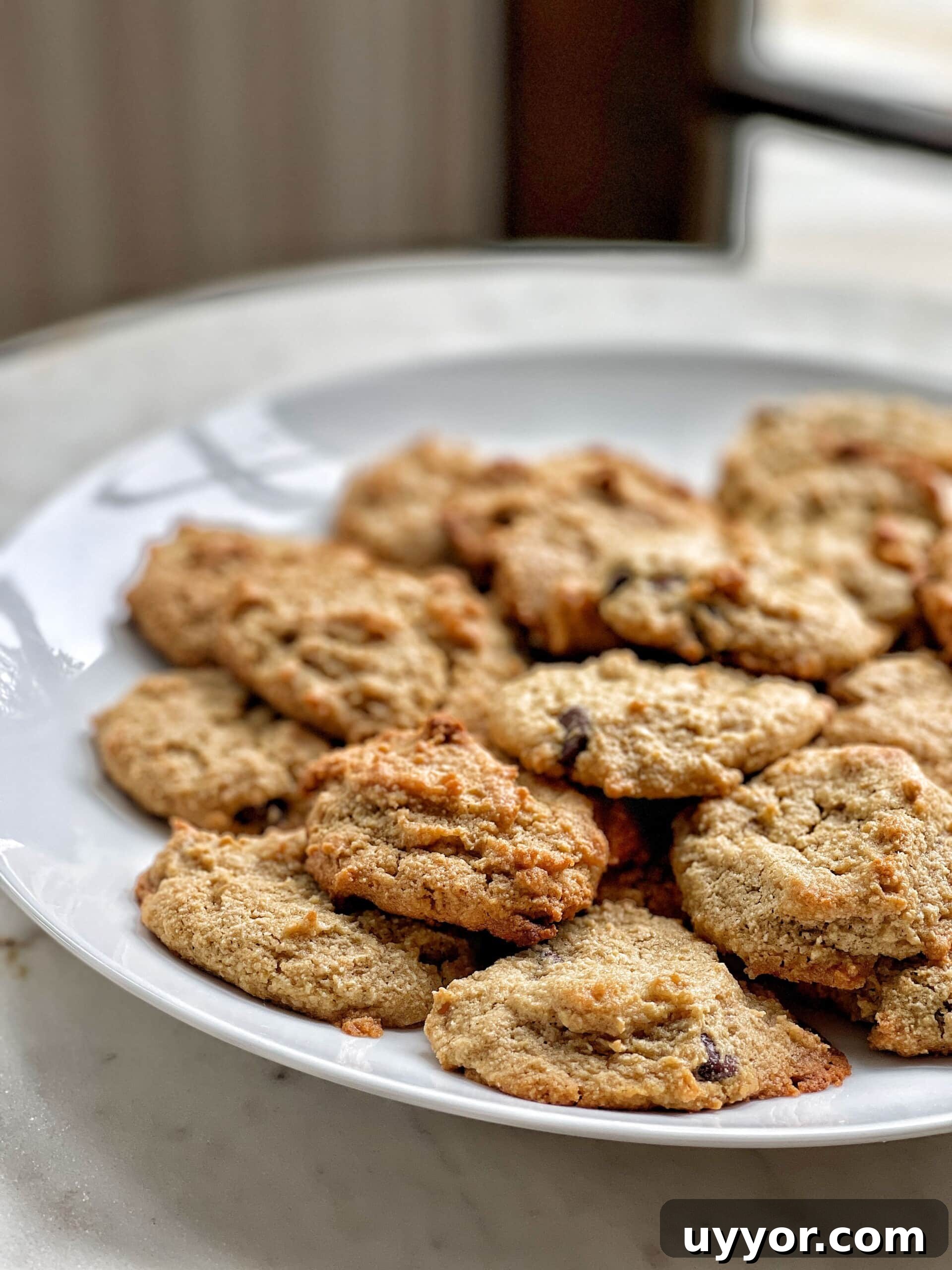 Chewy Chocolate Chip Cookies (Gluten-Free & Egg-Free) 11 gluten-free egg free chocolate chip cookies