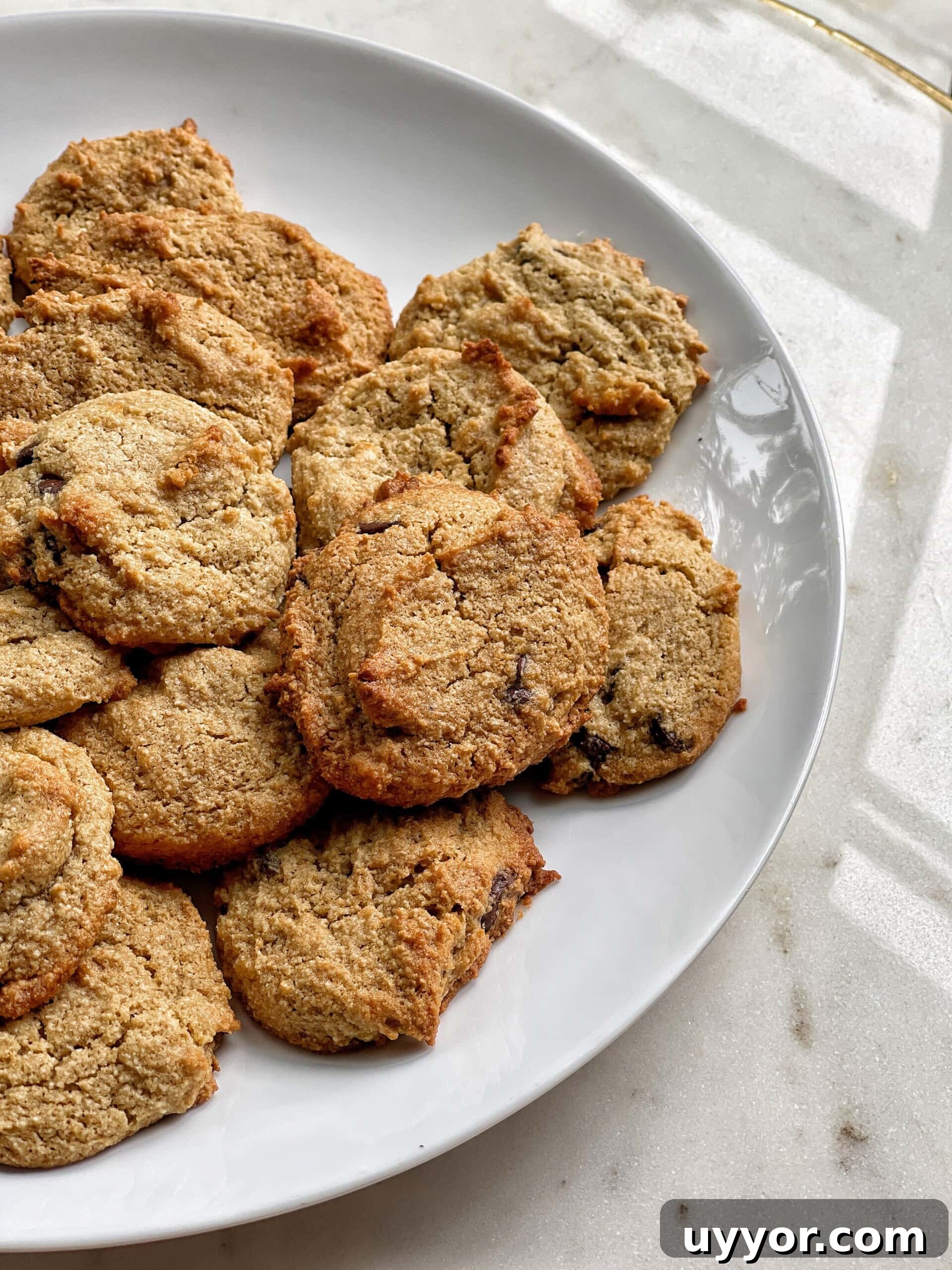 Chewy Chocolate Chip Cookies (Gluten-Free & Egg-Free) 3 gluten-free egg free chocolate chip cookies