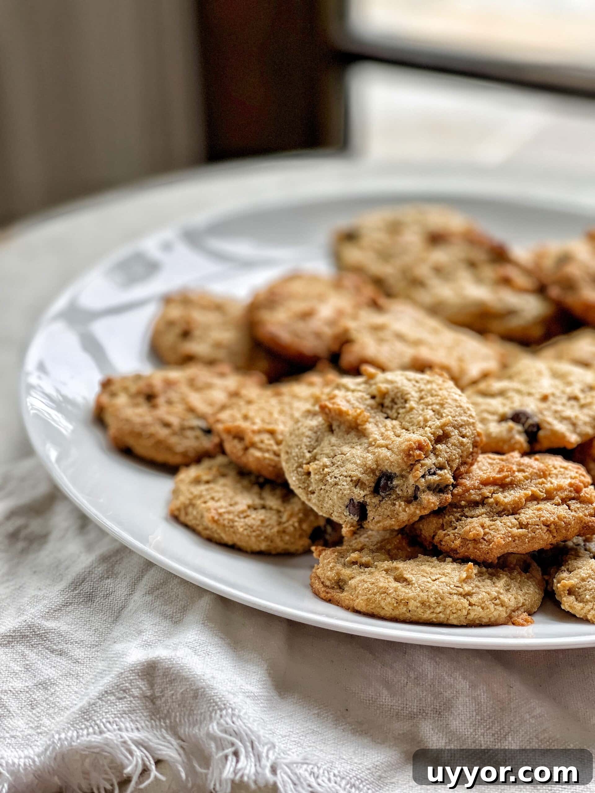 Chewy Chocolate Chip Cookies (Gluten-Free & Egg-Free) 5 gluten free chocolate chip cookies