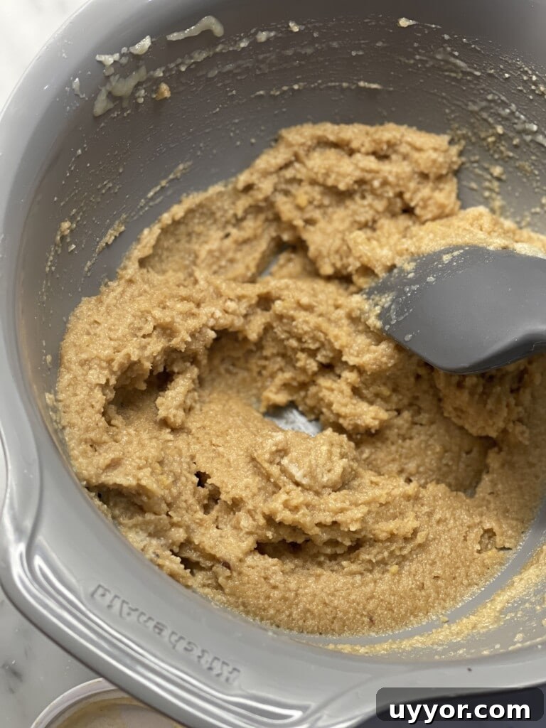gluten-free egg free chocolate chip cookies