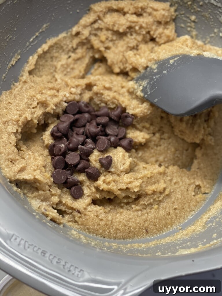 gluten-free egg free chocolate chip cookies