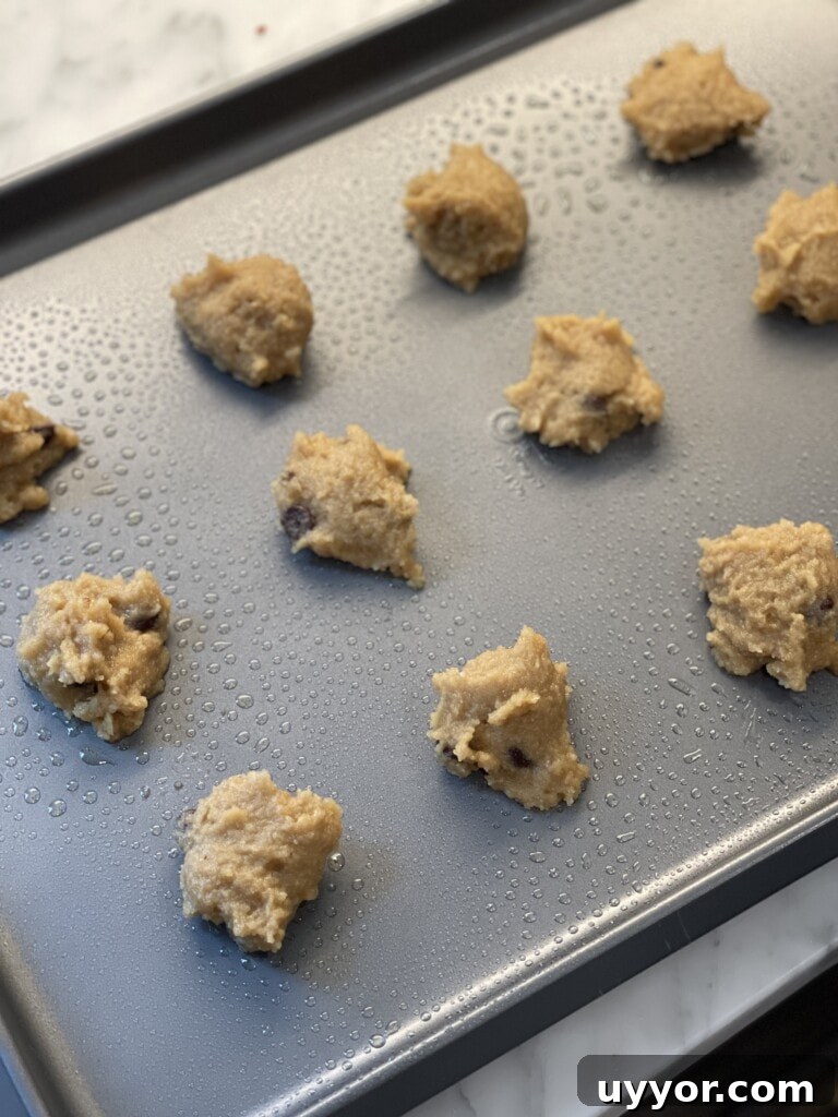 gluten-free egg free chocolate chip cookies