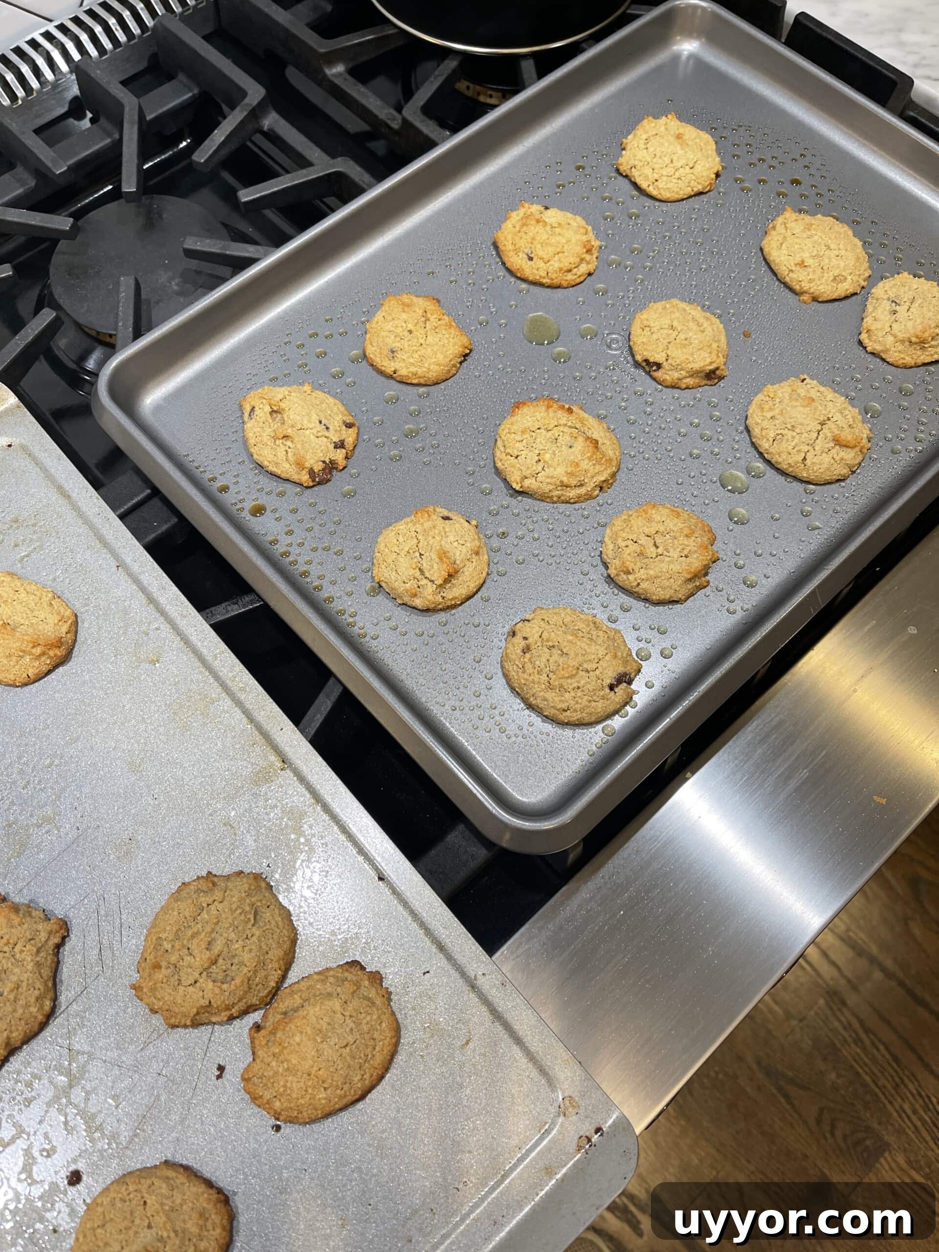 Chewy Chocolate Chip Cookies (Gluten-Free & Egg-Free) 10 gluten-free egg free chocolate chip cookies