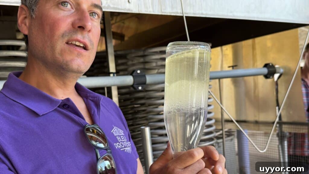 48 Hours in Provence: Follow Lavender from Field to Essential Oil 16 Clément demonstrates the gravity-driven separation of oil and water that occurs in the collection vessel in the distillery’s cellar.