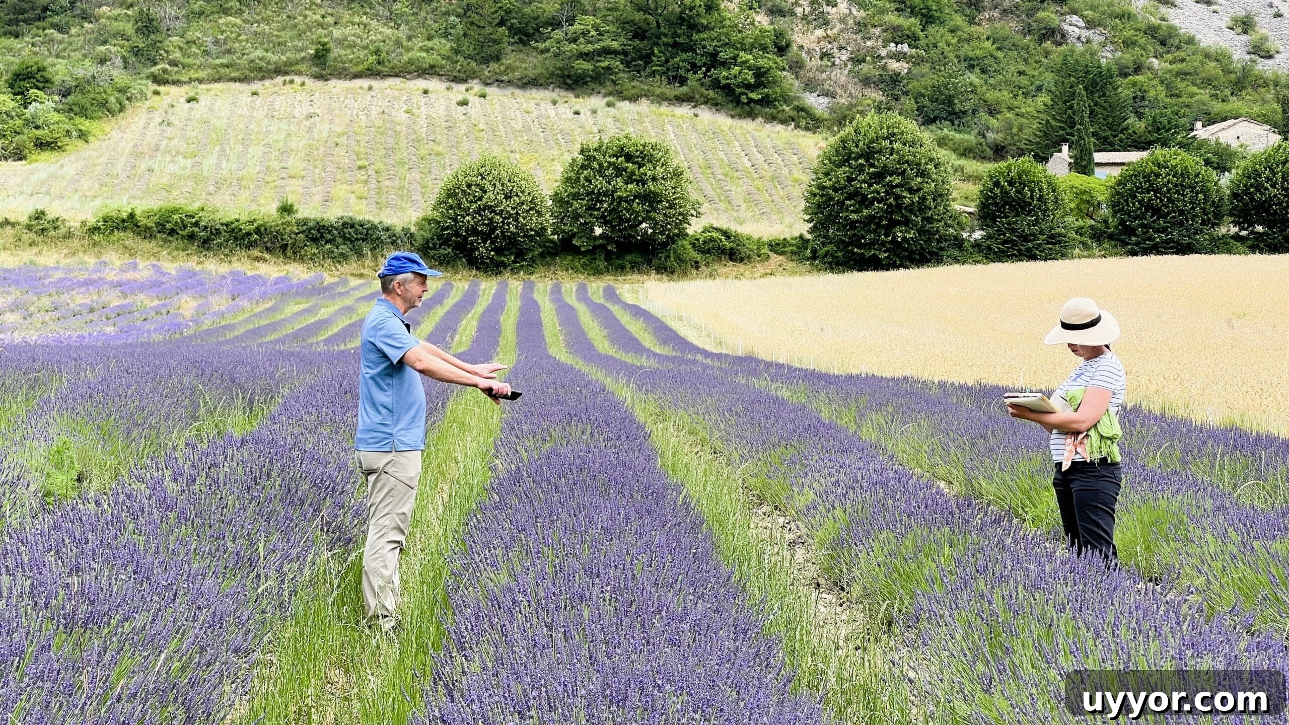 48 Hours in Provence: Follow Lavender from Field to Essential Oil 4 Lisa and Gero standing in a field of Lavender.