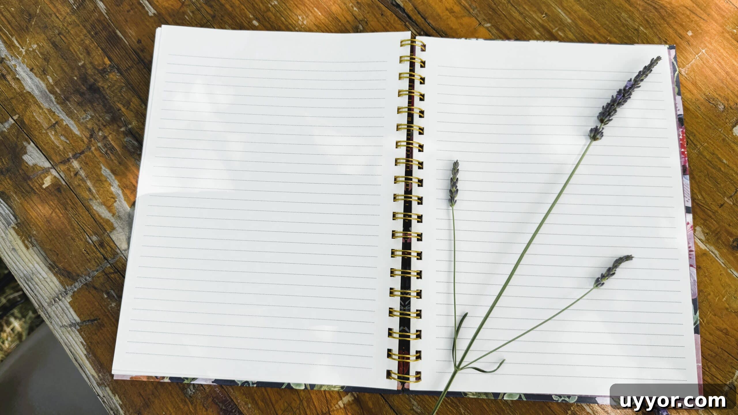 48 Hours in Provence: Follow Lavender from Field to Essential Oil 5 A piece of Lavandin laying on LIsa's notebook.