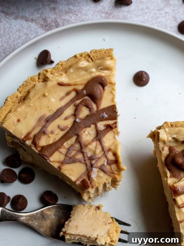 Peanut butter pie on a white plate.