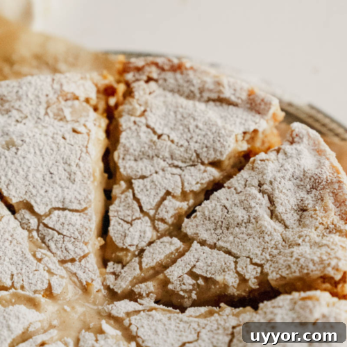 Gooey Butter Pumpkin Cake