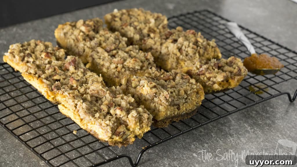 pumpkin cheesecake bars