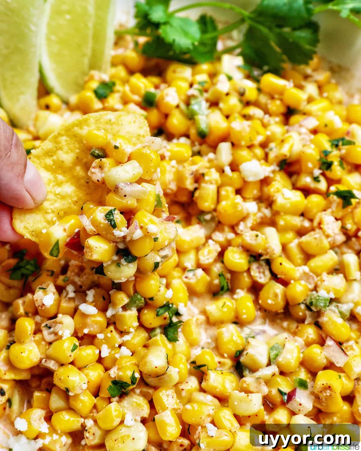 Creamy Mexican Street Corn Dip (Elote Dip) Recipe 3 hand scooping a tortilla chip into a big bowl of elote corn dip.