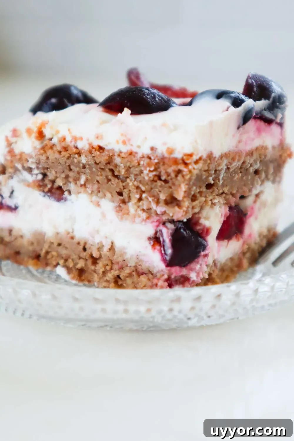 This easy homemade cherry cake is made with real, wholesome foods and is super versatile! The perfect dessert recipe with cherries!