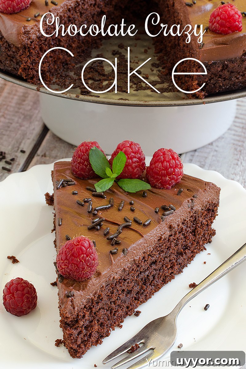 Egg-Free, Dairy-Free Chocolate Crazy Cake Recipe 2 Chocolate Crazy Cake