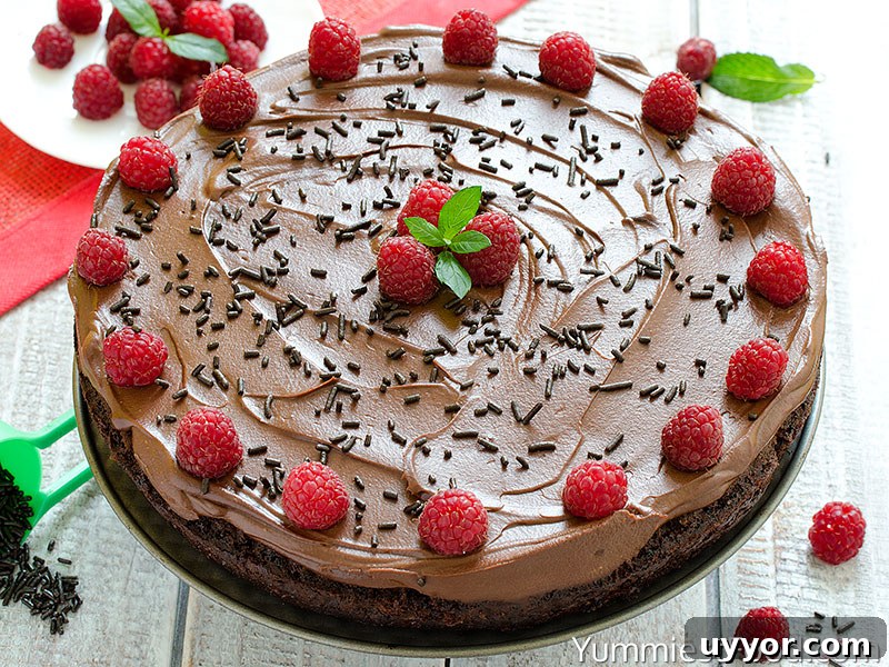 Egg-Free, Dairy-Free Chocolate Crazy Cake Recipe 3 Chocolate Cake
