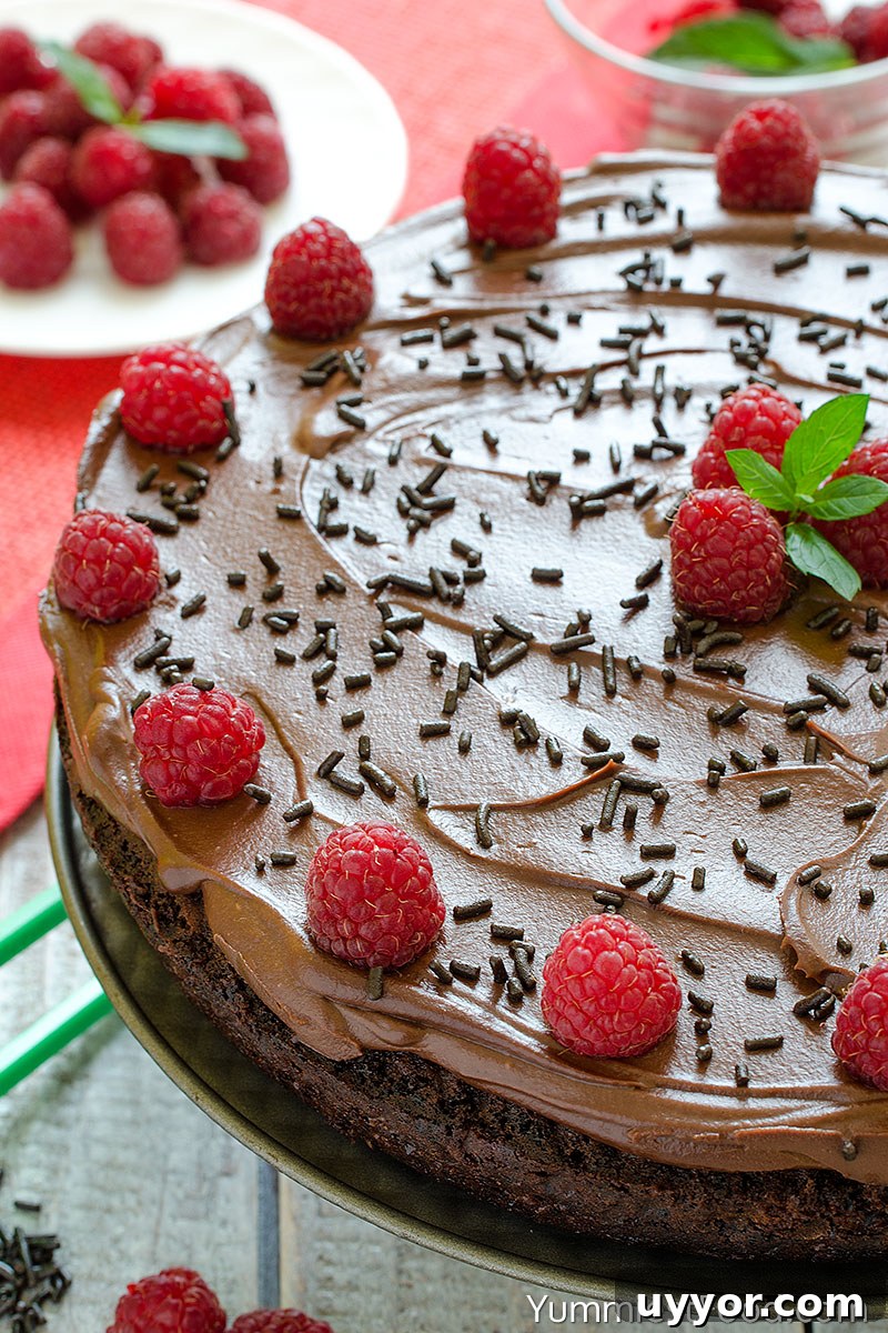 Egg-Free, Dairy-Free Chocolate Crazy Cake Recipe 4 Chocolate Cake - a half Cake