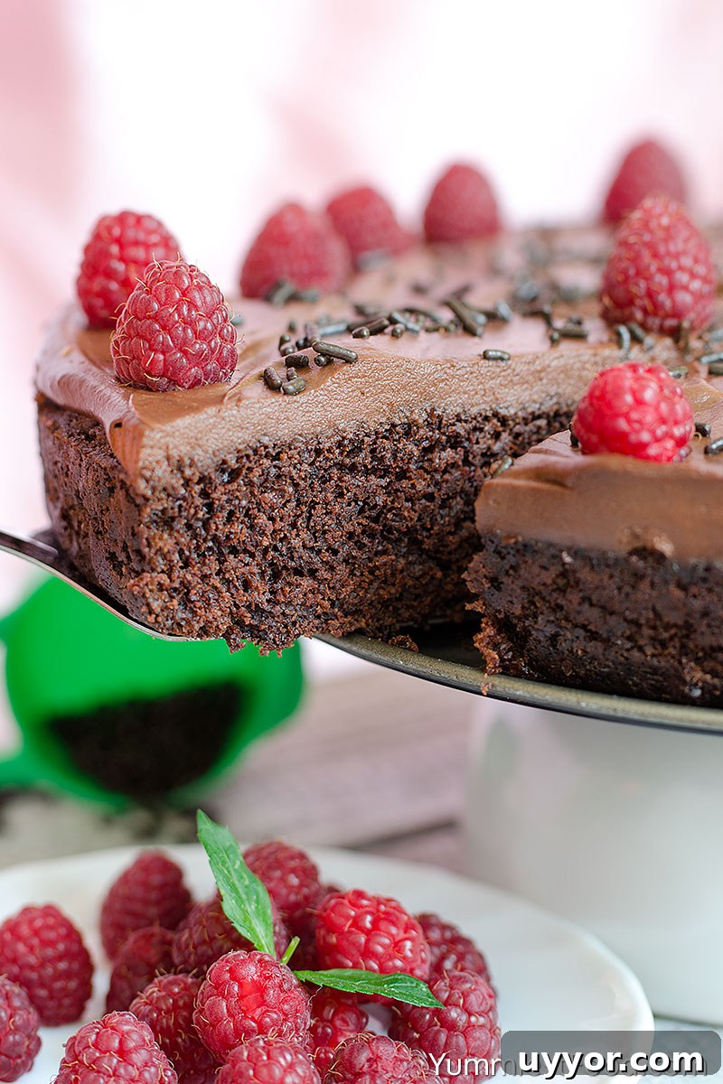 Egg-Free, Dairy-Free Chocolate Crazy Cake Recipe 5 Chocolate Crazy Cake