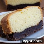 Egg-Free, Dairy-Free Chocolate Crazy Cake Recipe 8 Brownie Butter Cake - Featured Image