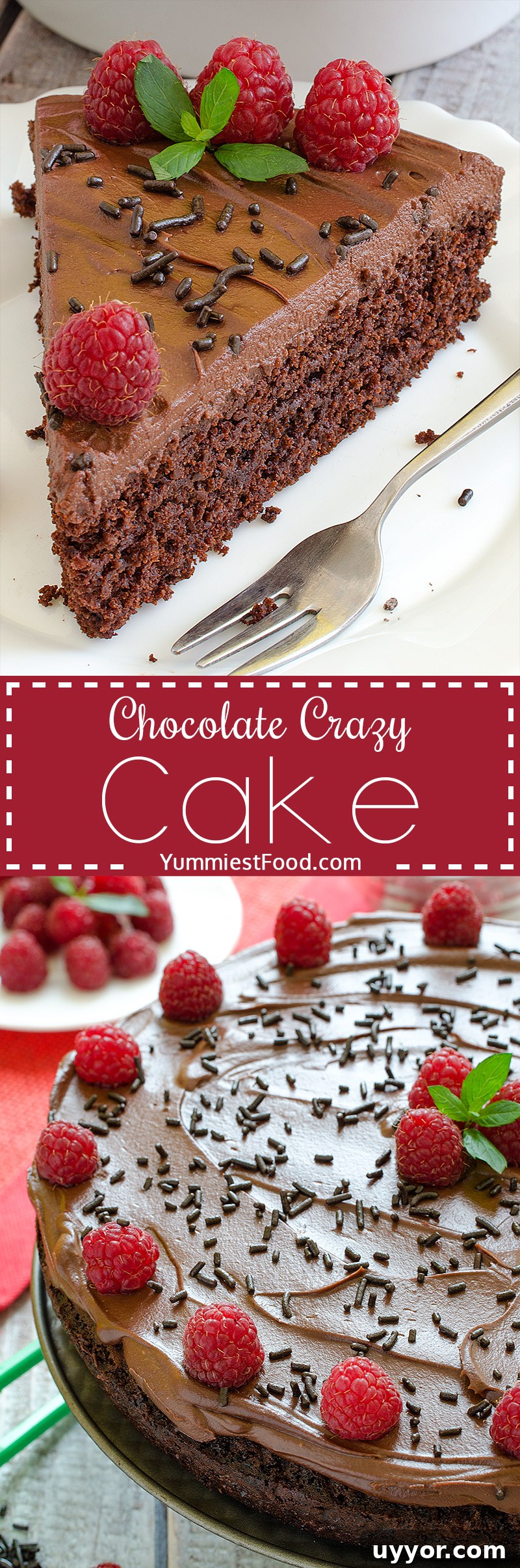 Egg-Free, Dairy-Free Chocolate Crazy Cake Recipe 6 Chocolate Crazy Cake - Light, moist and fluffy! This Chocolate Crazy Cake is the best ever, very delicious and easy to make.