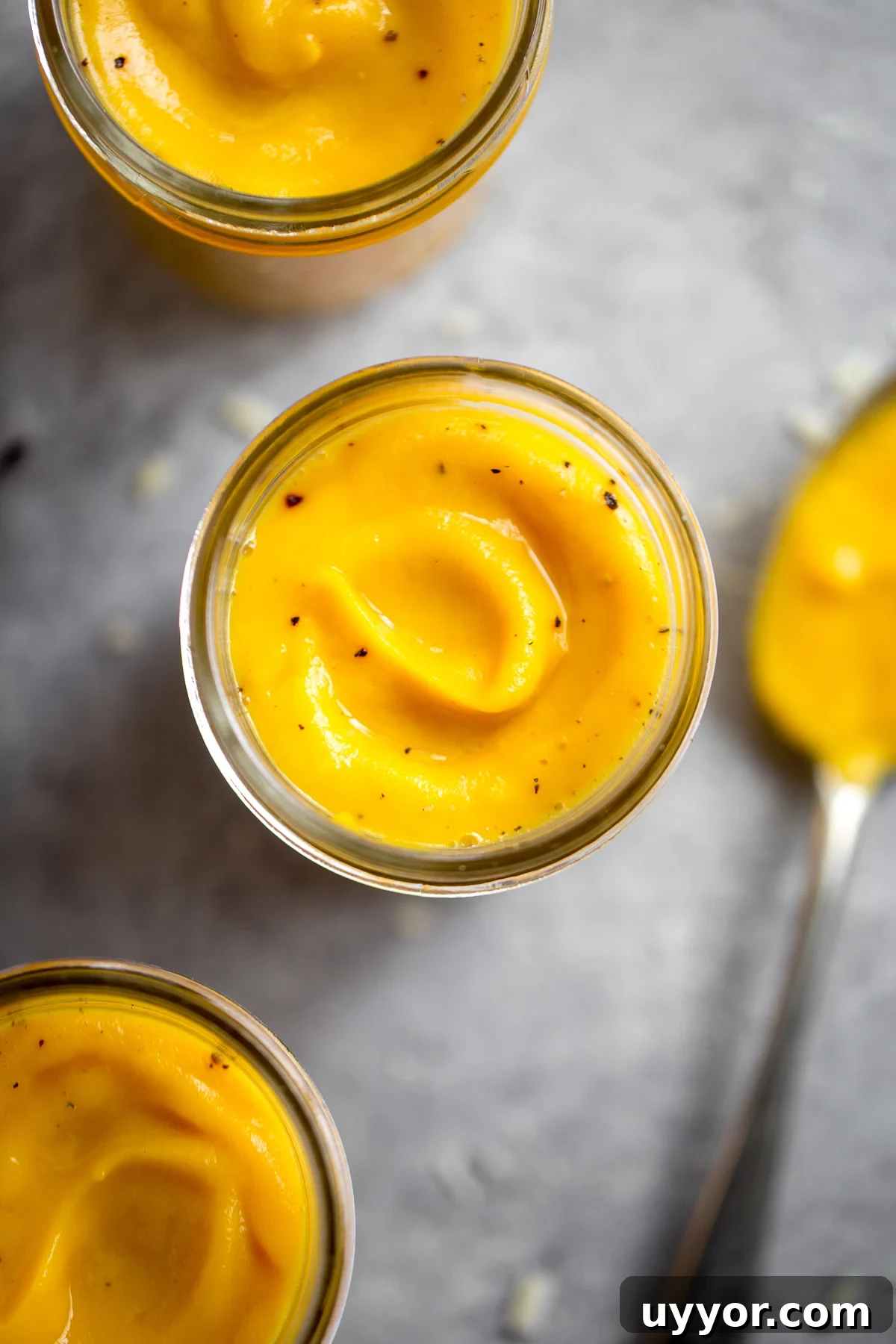 Creamy Butternut Squash Pasta Sauce Recipe for Fall Dinner 2 overhead closeup of butternut squash sauce in glass mason jar