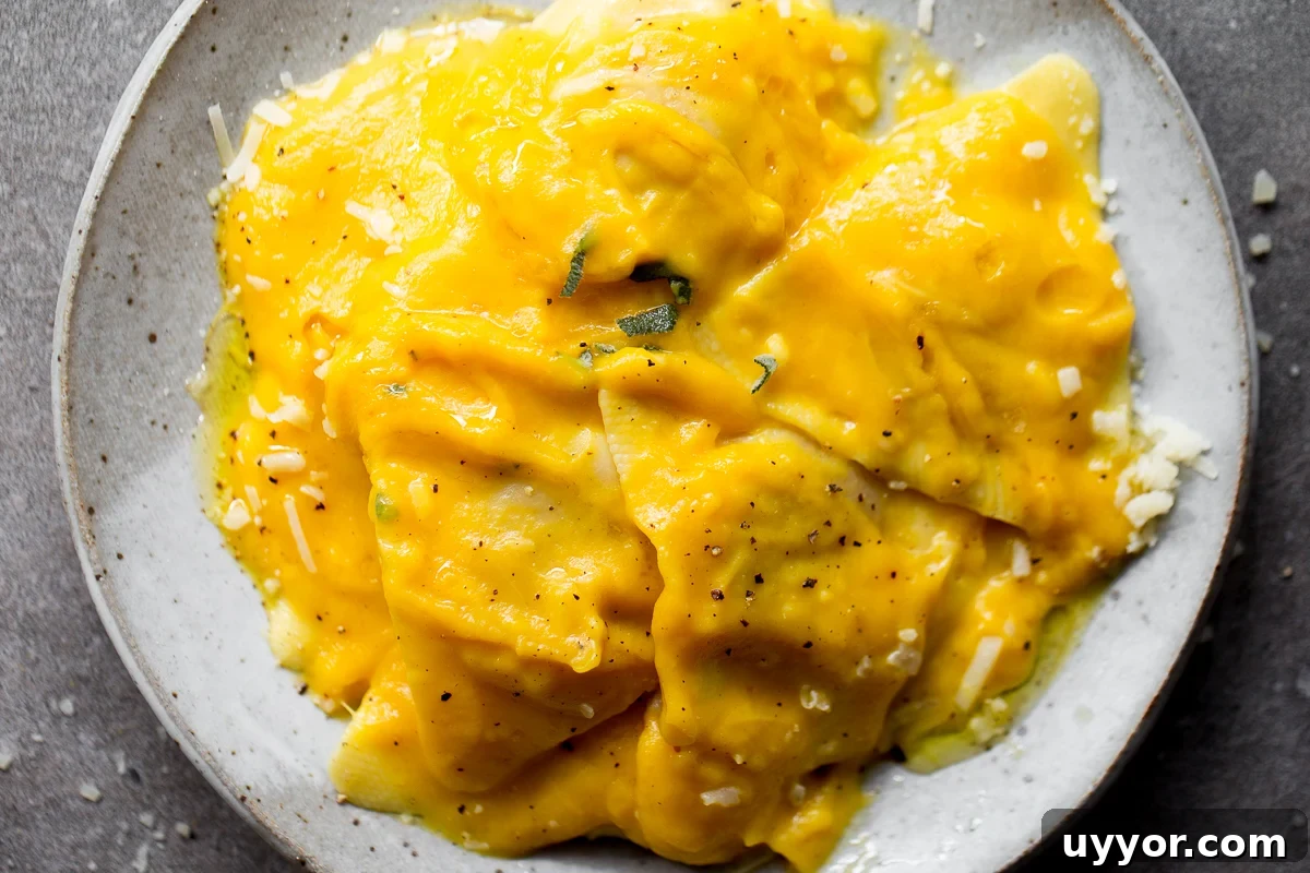 Creamy Butternut Squash Pasta Sauce Recipe for Fall Dinner 3 butternut squash sauce with ravioli