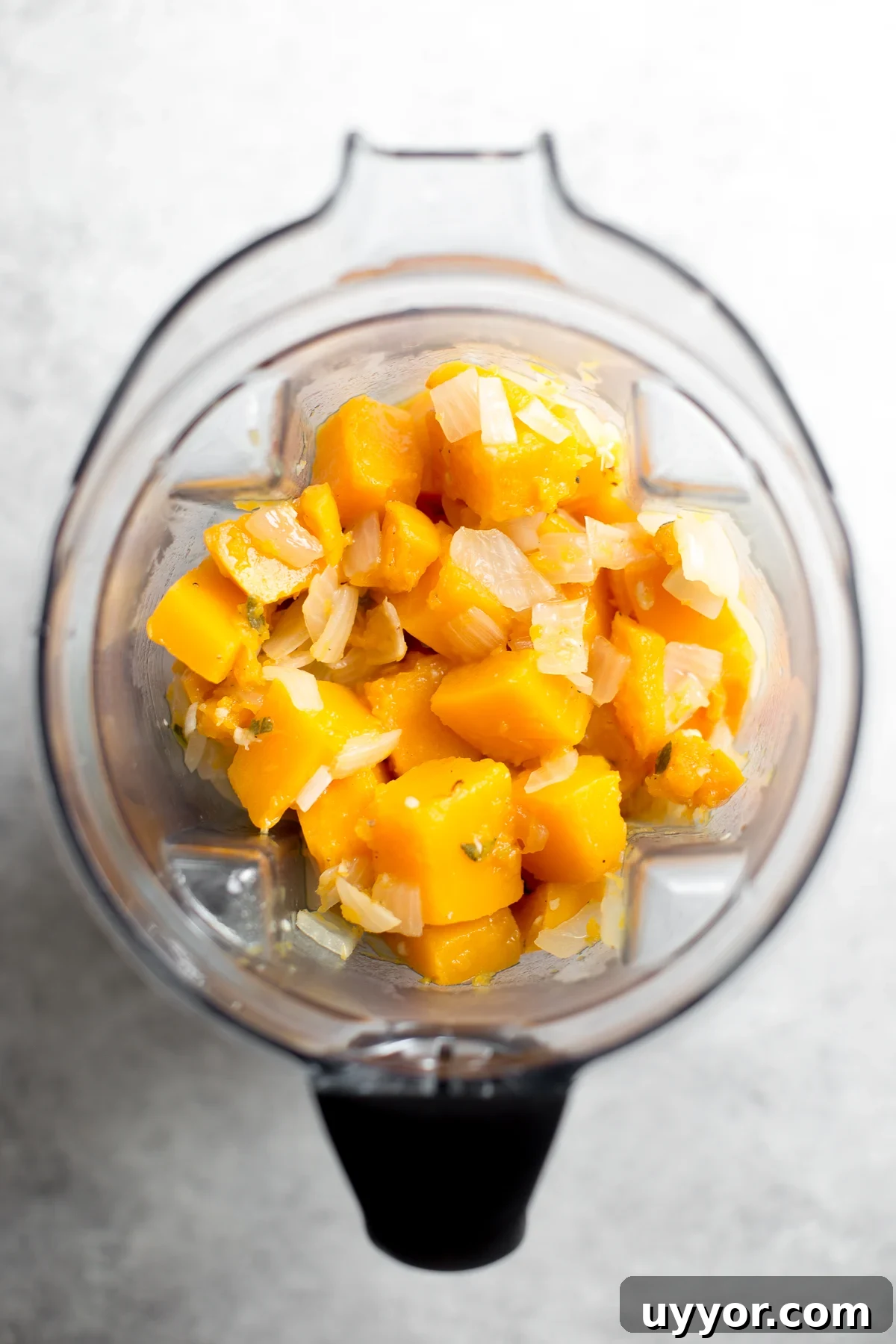 Creamy Butternut Squash Pasta Sauce Recipe for Fall Dinner 4 ingredients for butternut squash sauce in a blender