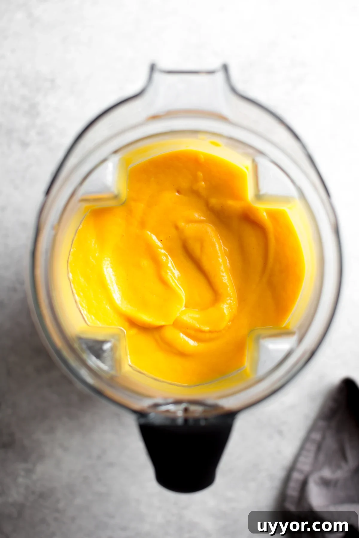 Creamy Butternut Squash Pasta Sauce Recipe for Fall Dinner 5 overhead of butternut squash sauce recipe just pureed in blender